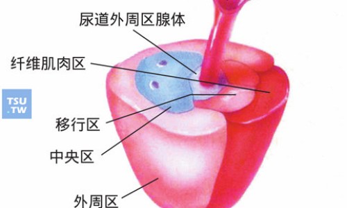 益气和胃胶囊方剂-立方和胃益气胶囊哪里有卖网 - 立方益气和胃胶囊是处方药吗,立方和胃益气胶囊哪里有卖的