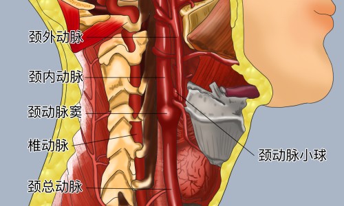 立方牌益气和胃胶囊多少钱一盒-立方和胃益气胶囊哪里有卖网 - 立方益气和胃胶囊是处方药吗,立方和胃益气胶囊哪里有卖的